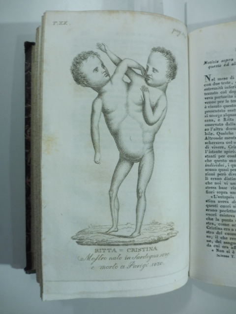 Catalogo ragionato d'una collezione geognostica, contenente le rocce più caratteristiche della formazione del macigno della Toscana: quelle di trabocco cioè dolomitiche, porfiritiche...del D. P. Savi...(Stralcio da: Nuovo giornale de letterati. N. 50. 1830)